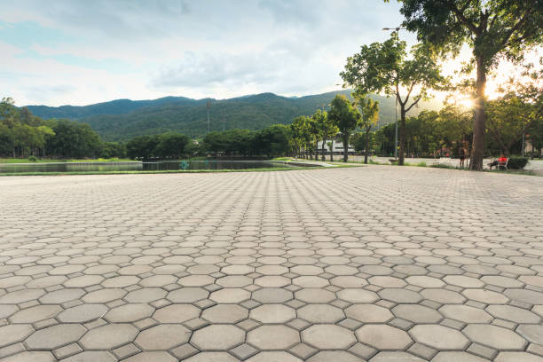Paver Driveway Replacement in West Rancho Dominguez, CA